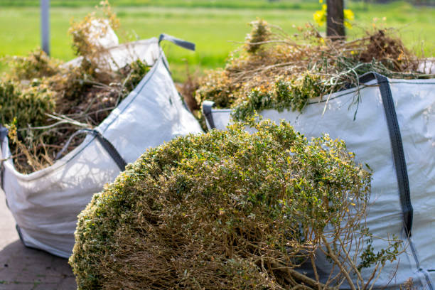 Best Same-Day Junk Removal Services  in Naples, UT
