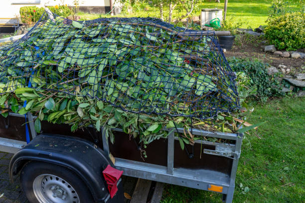 Professional Junk Removal Services in Naples, UT